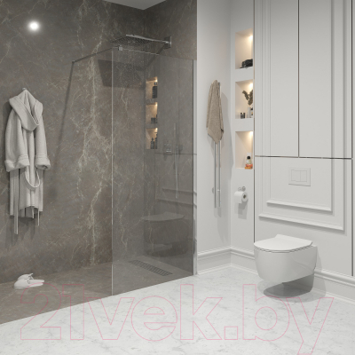 Душевая стенка Niagara NG-663-11 110x195