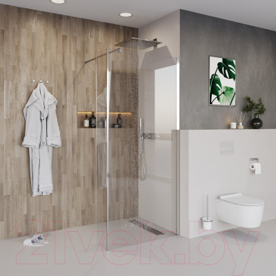 Душевая стенка Niagara NG-664-11 110x195