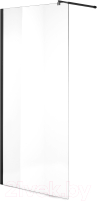 Душевая стенка Niagara NG-683-10 100x195 (черный) - фото