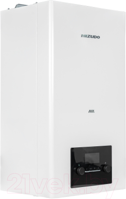 Газовый котел Mizudo M24
