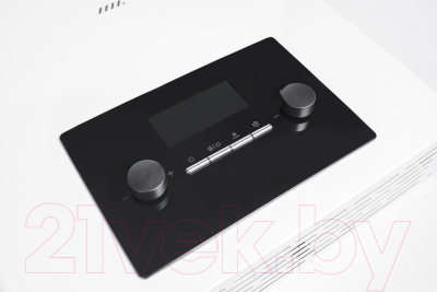 Газовый котел Mizudo M24