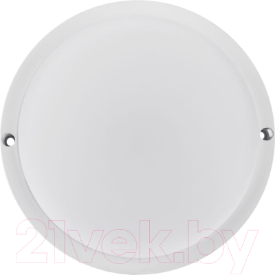 Светильник ЖКХ Rexant 607-266 - фото