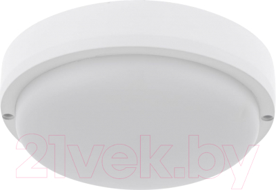 Светильник ЖКХ Rexant 607-266