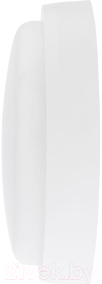 Светильник ЖКХ Rexant 607-266