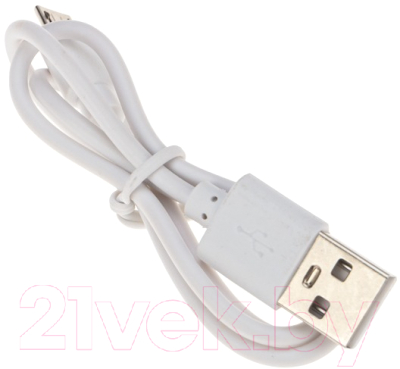 Прожектор Rexant 75-1700