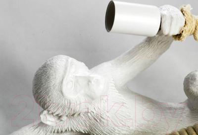 Потолочный светильник Lussole Aya LSP-9993