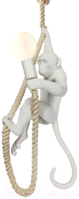 Потолочный светильник Lussole Aya LSP-9993