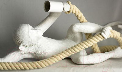 Потолочный светильник Lussole Aya LSP-9993