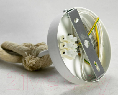 Потолочный светильник Lussole Aya LSP-9993