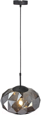 Потолочный светильник Vitaluce V2814-1/1S