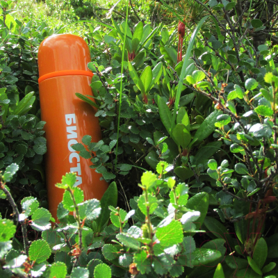 Термос для напитков Биосталь NB-СО 750