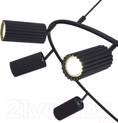 Люстра ST Luce SL1213.403.06