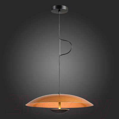 Потолочный светильник ST Luce SL6502.203.01