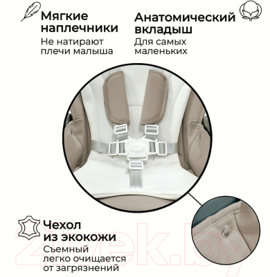 Стульчик для кормления Bubago Amelia / BG 103-1