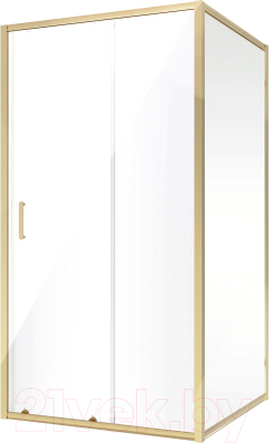 Душевой уголок Niagara NG-42-12AG-A70G 120x70x195 - фото