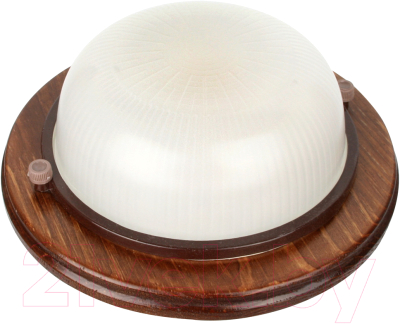 Светильник ЖКХ Camelion 1302D НБП 03-60-0021 УХЛ4 / 14091 - фото