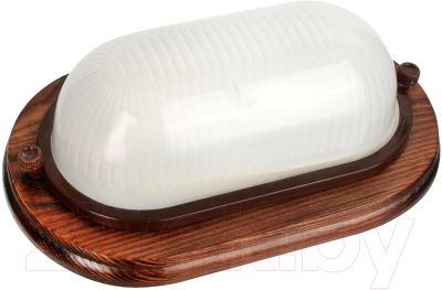 Светильник ЖКХ Camelion 1402D НБП 04-60-0021 УХЛ4 / 14095 - фото