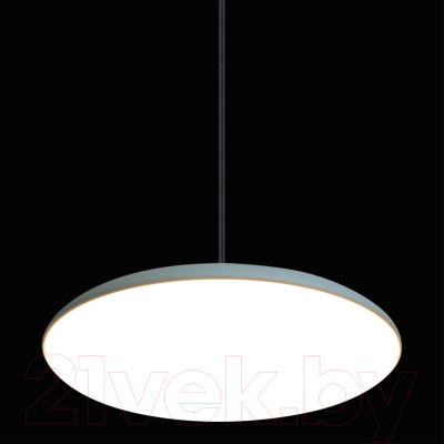 Потолочный светильник Loftit Plato 10119