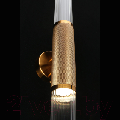 Бра Aployt Brynia APL.307.21.02