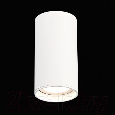 Потолочный светильник ST Luce ST157.532.15