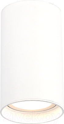 Потолочный светильник ST Luce ST157.532.20 - фото