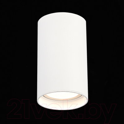 Потолочный светильник ST Luce ST157.532.20