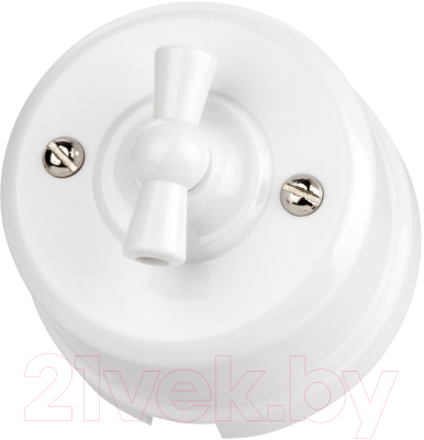 Выключатель TDM Виви SQ1820-1006 - фото