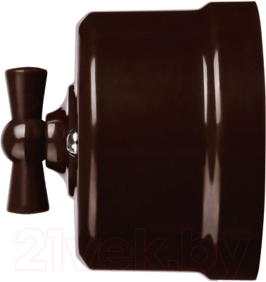 Выключатель TDM Виви SQ1820-1406