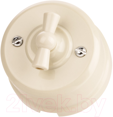 Выключатель TDM Виви SQ1820-1306 - фото