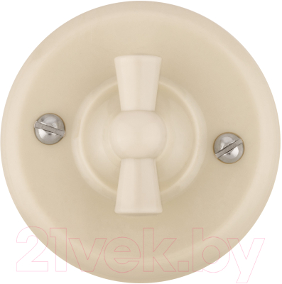 Выключатель TDM Виви SQ1820-1306