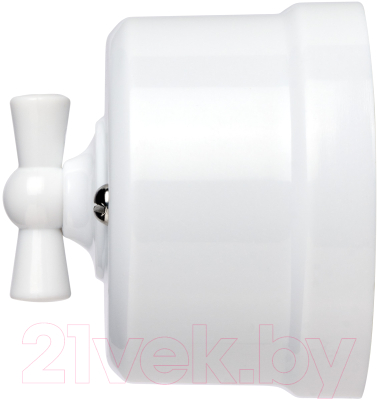 Выключатель TDM Виви SQ1820-1005