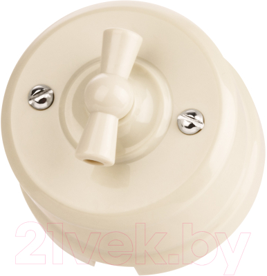 Выключатель TDM Виви SQ1820-1305 - фото