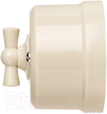 Выключатель TDM Виви SQ1820-1305