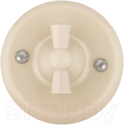 Выключатель TDM Виви SQ1820-1305