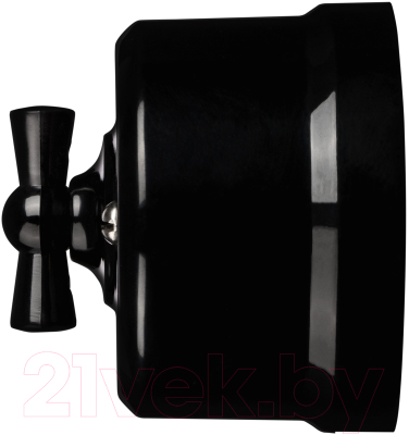 Выключатель TDM Виви SQ1820-1205