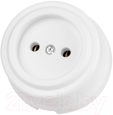 Розетка TDM Виви SQ1820-1011 - фото