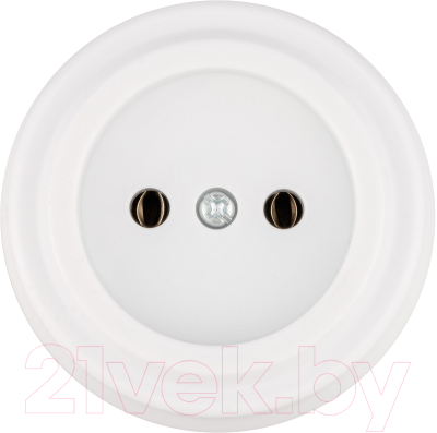 Розетка TDM Виви SQ1820-1011