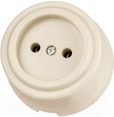 Розетка TDM Виви SQ1820-1316 - фото