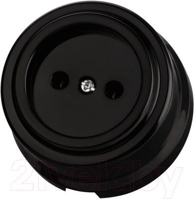 Розетка TDM Виви SQ1820-1211 - фото