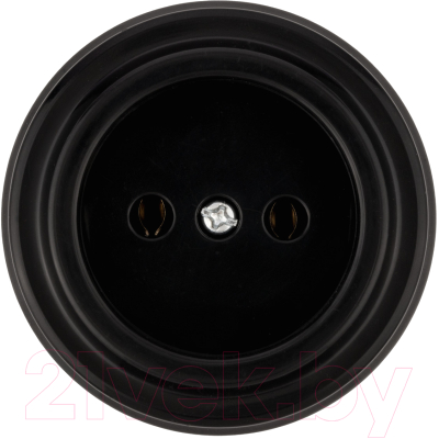 Розетка TDM Виви SQ1820-1211