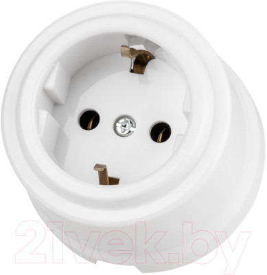 Розетка TDM Виви SQ1820-1012 - фото