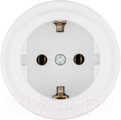 Розетка TDM Виви SQ1820-1012