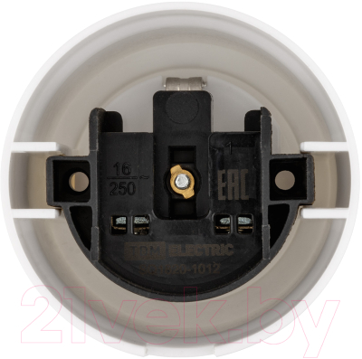 Розетка TDM Виви SQ1820-1012
