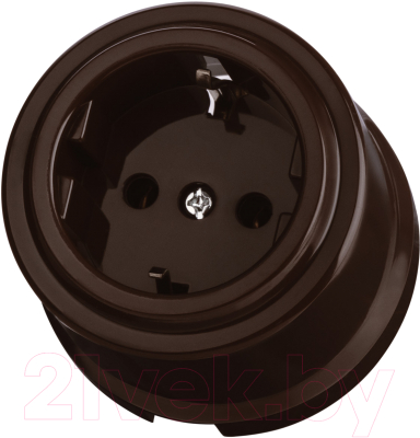 Розетка TDM Виви SQ1820-1417 - фото