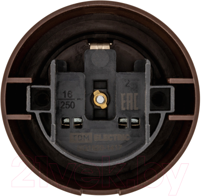 Розетка TDM Виви SQ1820-1417