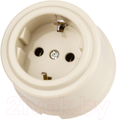 Розетка TDM Виви SQ1820-1317 - фото