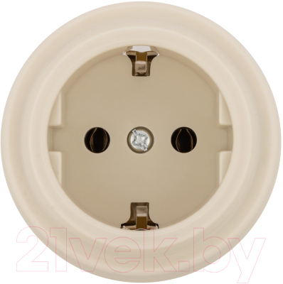 Розетка TDM Виви SQ1820-1317