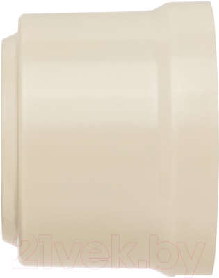 Розетка TDM Виви SQ1820-1317