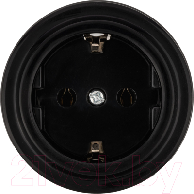 Розетка TDM Виви SQ1820-1212