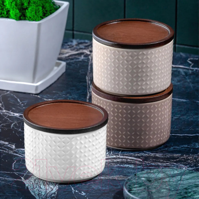 Набор емкостей для хранения Elan Gallery Орнамент / 540741